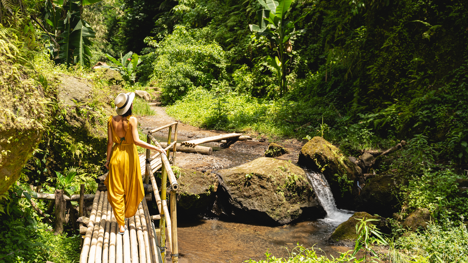 Eco-Tourism In Dominica: The Ultimate Sustainable Travel Destination 🌿🌍 1 Eco-Tourism In Dominica