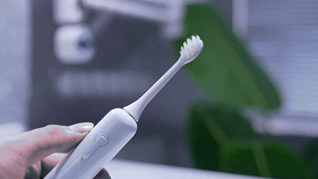 SUBORT S6 Wave Electric Toothbrush Oscillation & Vibration Sonic Electric Toothbrush for Adults USB-C Rechargeable with 2 Heads